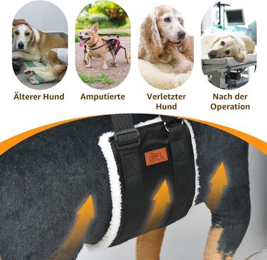 Регульована переноска для собак, підтримуюча перетяжка для реабілітації, поранених, травмованих або літніх собак - шлейка для собак як допоміжний засіб для ходьби для малих та великих собак (Білий, M)