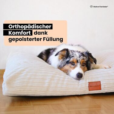 Крісло-ліжко для собак WahreTierliebe® Cozy, Преміум килимок для собак, Ортопедичний комфорт, Можливість прання, Міцний матеріал, Ідеально для дому та подорожей, Бежевий - 80x60x8 см