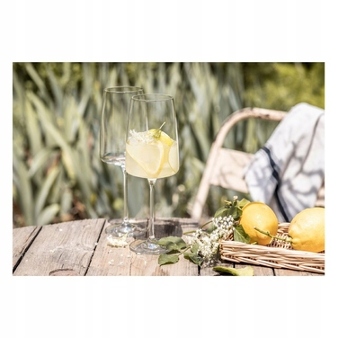 Келихи для червоного вина Schott Zwiesel VIVID SENSES, 535 мл, 2 шт.