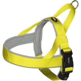 колір: жовтий/сірий