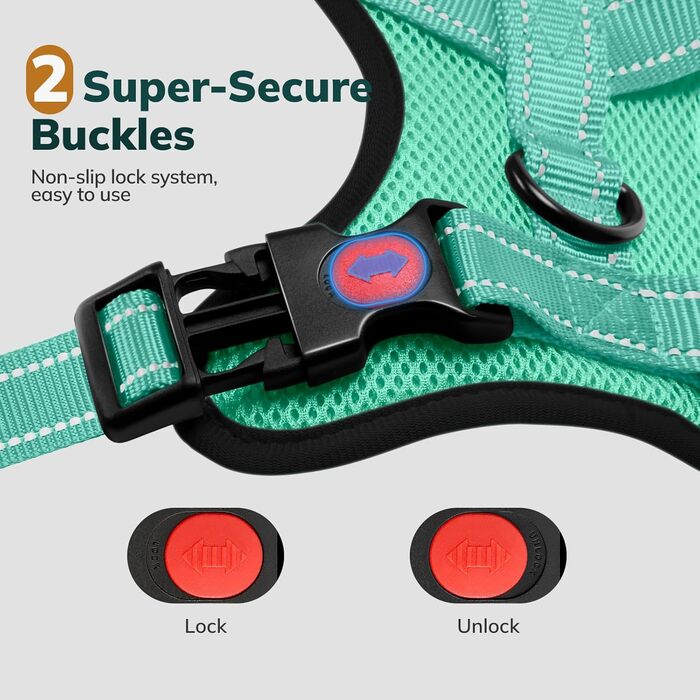 Нашийник для собак FAYOGOO з відбиваючими елементами, без затягування, для прогулянок (зелений, XS)