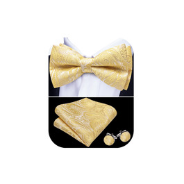 Батерфляй (метелик) Barry.Wang для чоловіків, візерунок пає, шовк, кишеньковий хустинка та запонки, для весілля, вечірки, формальних заходів (жовтий)