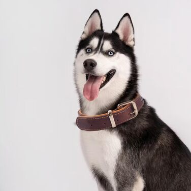 Нашийник для собак з натуральної шкіри, регульований, з м'якою підкладкою, для середніх, великих та екстра-великих порід (колір: коричневий, розмір: M)