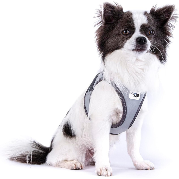 Жилет-шлейка Glow curli Clasp з світловідбиваючим покриттям, сірий, розмір M