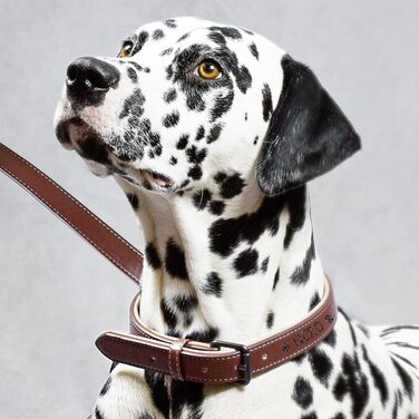 Набір повідка та нашийника ne&no® (веганська шкіра) для собак. Міцний поводок з карабіном, регульований нашийник. Розмір S, коричневий/бежевий, персоналізований.