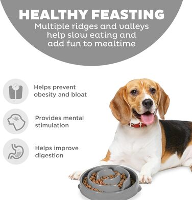 Миска для собак Outward Hound Fun Feeder M, сіра - уповільнює годування, запобігає здуття, антиковзаюча
