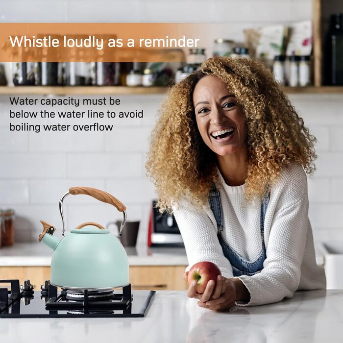 Чайник Wisebom Flötenkessel 3L: Ретро модель з нержавіючої сталі для індукційних та газових плит, з дерев'яною ручкою. Ідеально для чаю та кави.