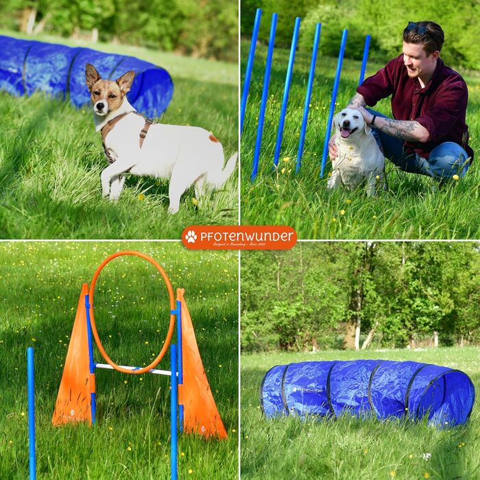 Набір для аджиліті для собак середнього розміру PfotenWunder®: 6 шлагбаумів, тунель, для тренувань, спорту та ігор. Підходить для малих та великих собак.