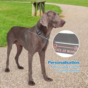 Шлейка для собак FEimaX для великих собак, тактична, не тягне, дихаюча, комфортна, сіра, міцна