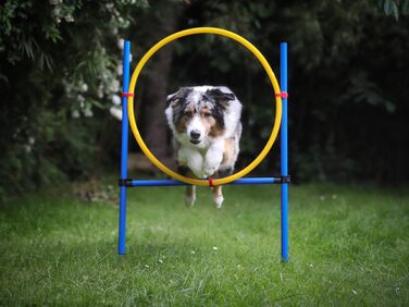 Набір для аджиліті NATIV LEMODO для собак | Тренування собак з бар'єром та стрибковим кільцем | Легкий у транспортуванні аксесуар для тренувань | Початковий набір у собачий спорт без тунелю