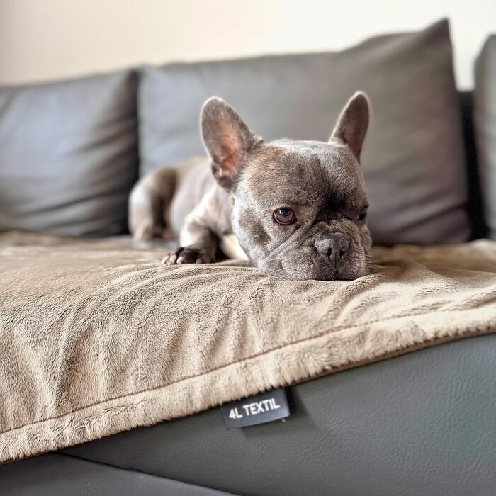 М'яка підстилка для собак та котів 60x40 см, бежева - 4L Textil
