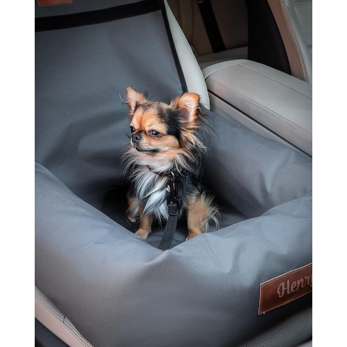 Крісло-ліжко для собак Petsen з іменем, сіре. Зручне автокрісло для собак маленьких порід, автоліжко з ліжком та поводок.