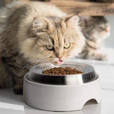 Набір мисок для котів CatGuru (2 шт.) - протиковзаючі, широкі, для зменшення стресу та втоми, сріблясті