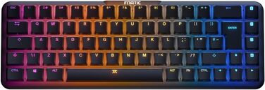 Механічна ігрова клавіатура Fnatic Gear STREAK65 LP з RGB-підсвічуванням, Speed Silver перемикачі, компактний формат 65%, QWERTZ (DE)