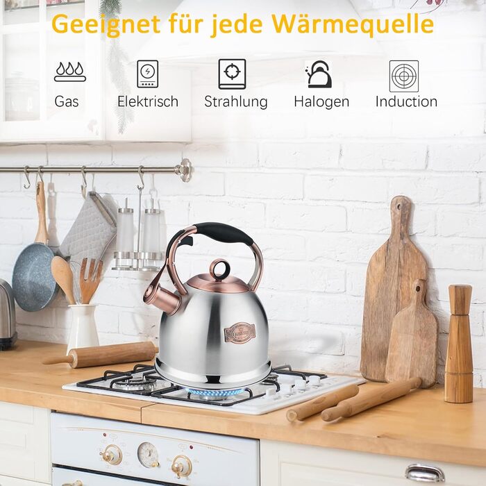 Чайник-свисток 3л з нержавіючої сталі, індукційний, з термостійкою ручкою (срібний)