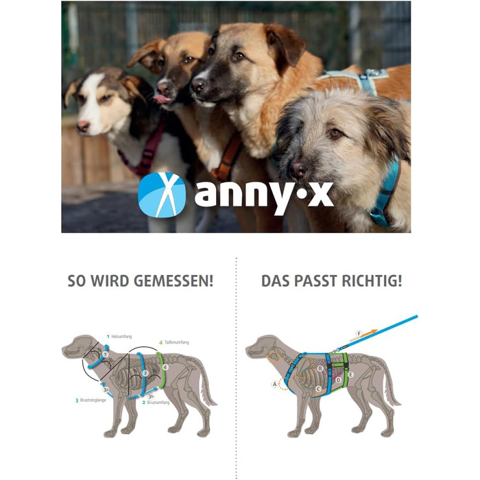 Шлейка для собак Anny-X Brustgeschirr Fun чорного кольору, розмір XL-короткий (обхват грудей 78-96 см)