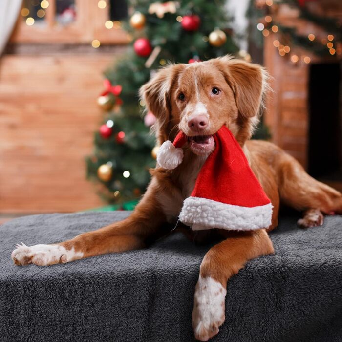 М'яка флісова підстилка для собак і котів Nobleza, 160 x 120 см, сіра