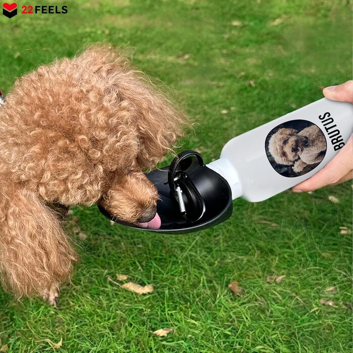 Персоналізована пляшка для води для собак 22Feels, 600 мл: фото, ім'я, карабін, витокозахист