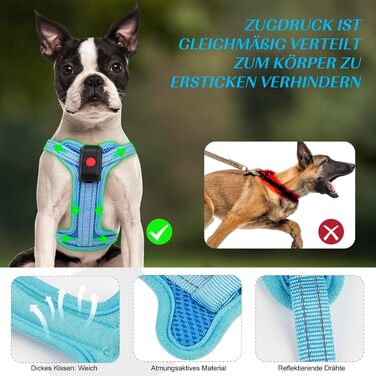 Світловідбиваючий нашийник для собак PZRLit з підзарядкою, для маленьких собак XS, LED нашийник для цуценят, безпечні прогулянки вночі (Блакитний)