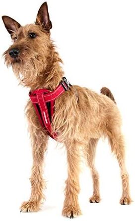 Шлейка для собак EzyDog Chest Plate – безпечна шлейка з адаптером для пасків – світловідбиваюча, з м'якою підкладкою, для собак маленьких, середніх та великих порід (L, Чорний)