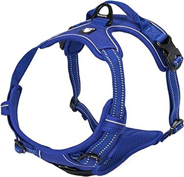 Нашийник для собак Truelove TLH5651, запобігає потягуванню, світловідбиваючі шви, для активного відпочинку (S, Королівський блакитний)