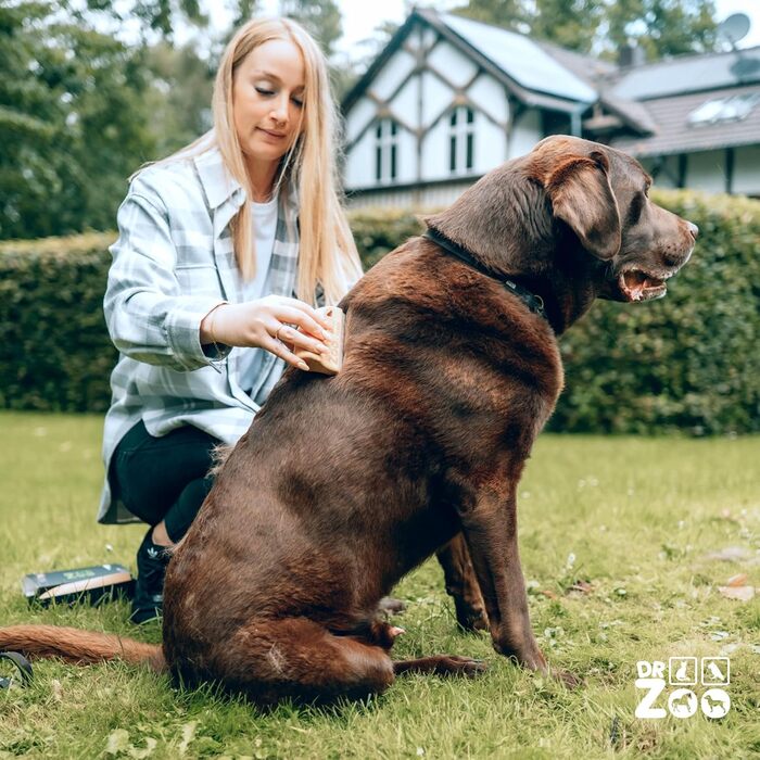 Щітка для собак DR Zoo 'Robbi' - якісна щітка для грумінгу, видаляє підшерсток у собак великих та малих порід