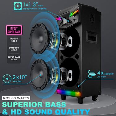 Bluetooth Караоке Машина DSP з 2 Мікрофонами та 2 × 10” Динаміками, Портативна PA-система для Дорослих та Дітей, USB-C Запис, Ефекти DJ, FM, Підтримка TV/Проектора GTSK210-1