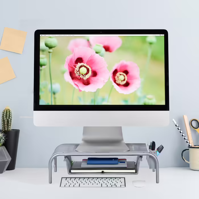 Relaxdays Monitor Stand with Drawer