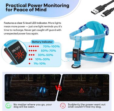 LED нашийник для собак, світлодіодний нашийник для маленьких собак, USB-C, світлодіодна повідка для собак, безпечний нашийник для собак, світлодіодна жилетка для собак, світлодіодна повідка для цуценят, XS, S, світловідбиваючий нашийник для собак, для ніч