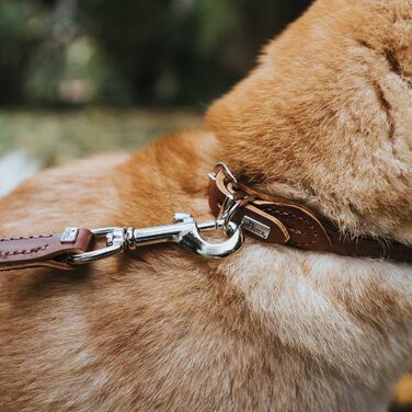 Нашийник для собак HUNTER ROUND & SOFT, м'яка шкіра, міцний нейлон, щадний до хутра, різні розміри