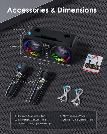 Караоке система All-in-One з Bluetooth, 2 мікрофонами та акустикою 30W, PA система для вечірок (Чорний)