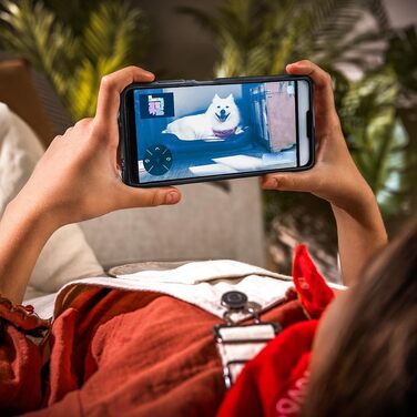 Робот-пилосос та робот-мийник Cecotec Conga X100 з автопорожненням та керуванням через додаток. Лазерна навігація, інтелектуальне картографування, 15000Pa, 240 хв роботи, знімні мікрофібри, станція з 3 резервуарами