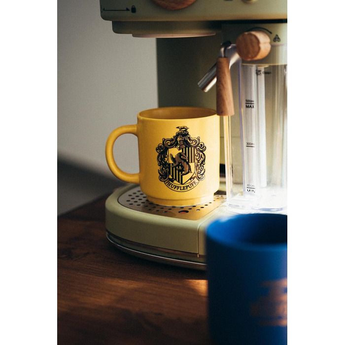 Grupo Erik Harry Potter Coffee Mug Set of 4 Hogwarts Houses - Ceramic Coffee Cups Gryffindor, Slytherin, Ravenclaw and Hufflepuff - Mug Set, each 300 ml