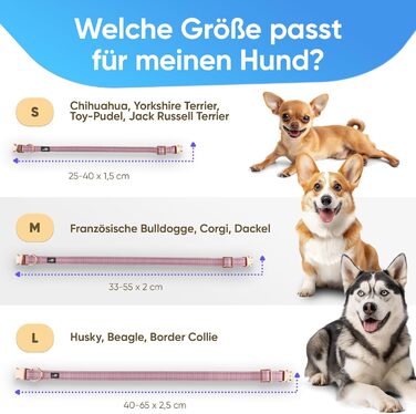 Водонепроникний нашийник для собак Leuchthal — регульований, 40-65 см, світловідбиваючий замок, флуоресцентна нитка