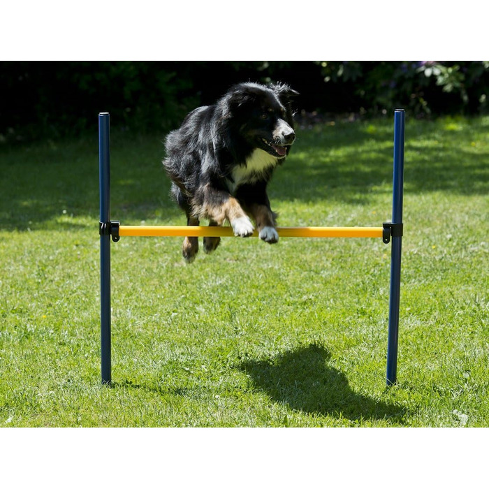Набір для дресирування собак, Агіліті, Стартовий набір: стійки та тунель
