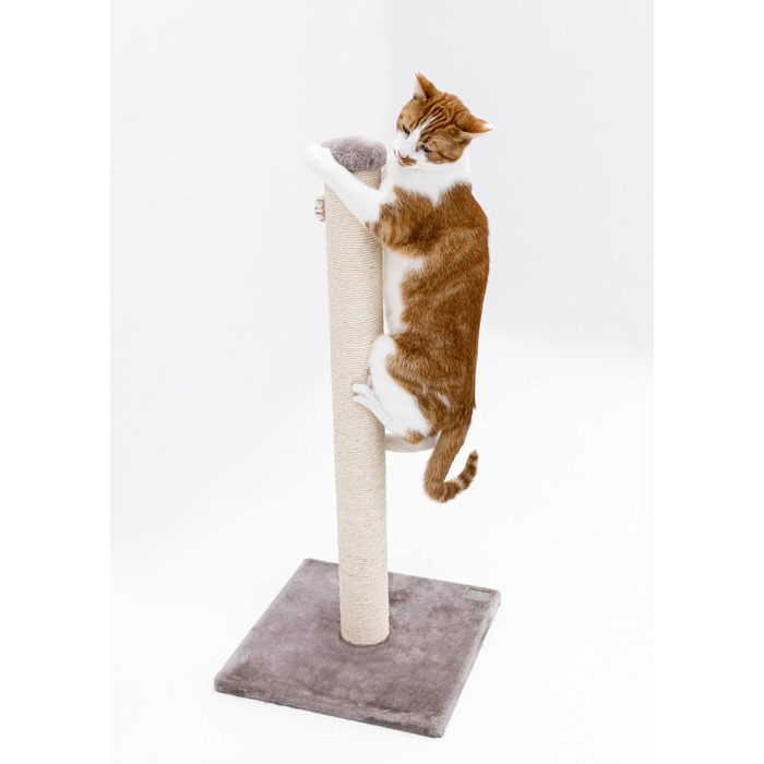 Petrebels Premium Quality Scratching Post Maine, 90 cm High, with Extra Stable Base Plate and Natural Sisal Post, 40 x 40 x 90 cm, Color / Beige (Cappuccino)