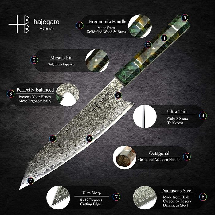 Японський ніж Hajegato з дамаської сталі (8 дюймів) - професійний кухонний ніж Kiritsuke, VG10, 67 шарів, висока якість