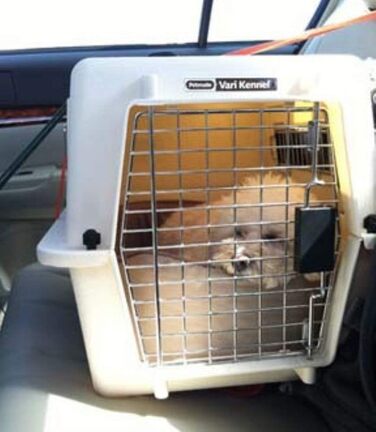 Кеній Ultra Vari Fashion 21' для собак - переноска з переробленого пластику, 53 x 41 x 38 см