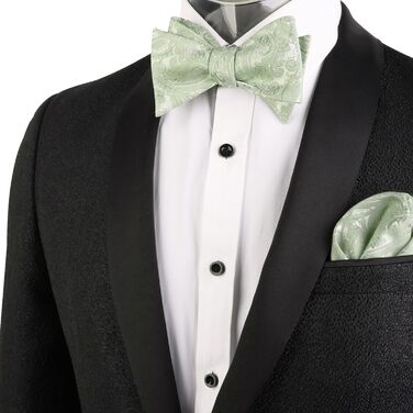 Чоловіча краватка-метелик Alizeal Retro Paisley з хустинкою, блакитна (універсальний розмір, 176-Salbei Grün)