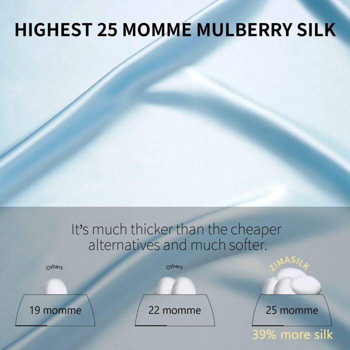 ZIMASILK 25 Momme 100% Mulberry Silk Pillowcase, for Hair and Skin, Both Sides, 900 Thread Count, Natural Silk, Hidden Zipper, 1 Gift Box (Light Blue, 20 x 30 inches)