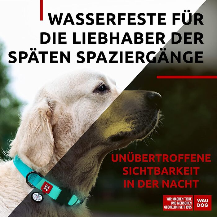 Нашийник для собак WAUDOG: водонепроникний, регульований, для великих, середніх та малих собак, з металевою застібкою, 31-49 см, ширина 25 мм, світловідбиваючий
