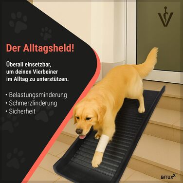 BITUXX® пандус для собак, сходи для собак, допомога у заїзді для собак, складаний, з пластику