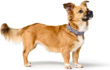 Нашийник для собак HUNTER SOHO X Love, фіолетово-сірий, з натуральної шкіри, м'який, з сердечками, для маленьких собак та цуценят, Made in Germany, розмір 42