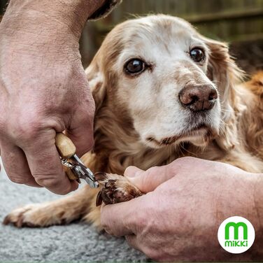 Ножиці для грумінгу собак та котів Mikki Bambus, з безпечним стопором, мікро-зубчасті леза, маленькі