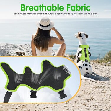 Світловідбиваючий нашийник для собак Jewyow з LED, перезаряджуваний, водонепроникний, 3 режими, зелений, розмір M