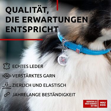 Нашийник для собак WAUDOG з натуральної шкіри, 20-25 см, 8 мм, блакитний