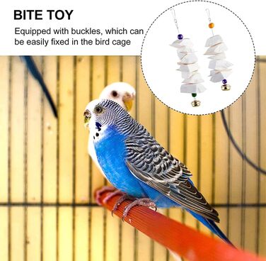 Parrot bones, fragile molars, chewing toys, grinding birds, beak and calcium, bone supplements, parrots, cockatiels