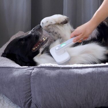PiddiPet Іонна щітка для грумінгу тварин - електрична щітка для собак та котів, проти ковтунів та підшерстка, зменшує статичну електрику та випадання шерсті, м'яка, самоочисна, для чутливої шкіри