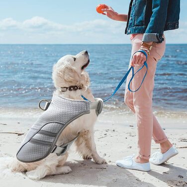 DearDD Cooling Vest for Dogs Summer Cooling Jacket for Dogs, Adjustable Breathable Mesh Dog Vest with Harness D-Ring Warning Vest Dog Coat for Small, Medium, Large Dogs, XL XL (Chest 78-99cm)