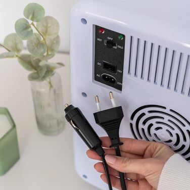 Міні-холодильник Flamingueo 10л 12V/220V: Автомобільний холодильник-термос для напоїв